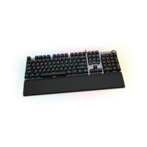 Rogueware GK100 Wired Mechanical Gaming Keyboard