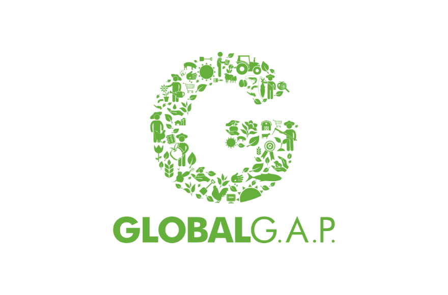 logo-global.png